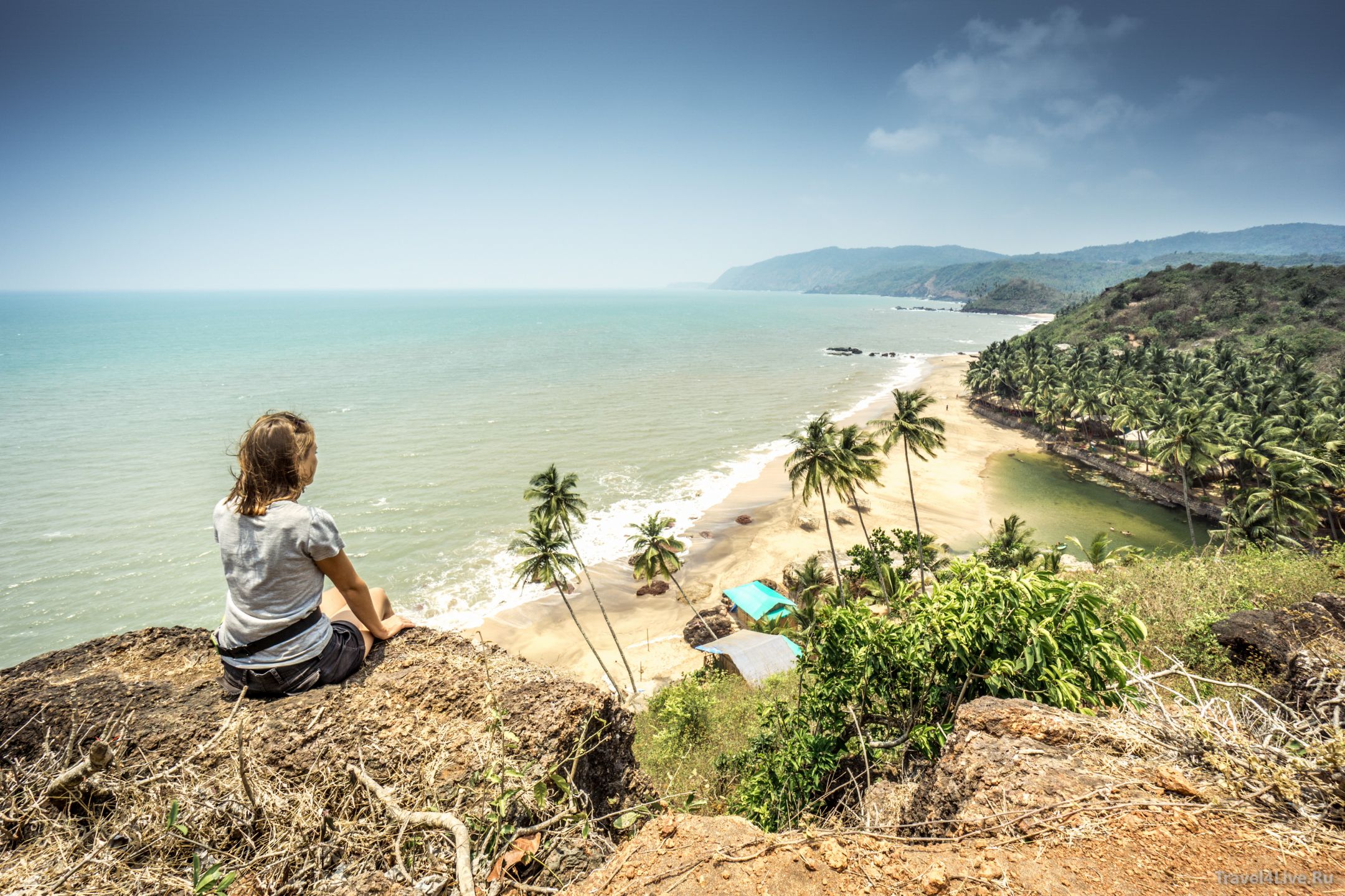 Фото Палолема